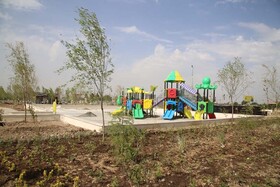 پارک «شهید ایرانی» ۹۰ درصد پیشرفت دارد/ کاشت ۲۷۰۰ اصله درخت