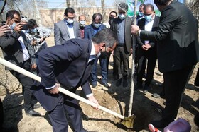 مراسم روز درختکاری در پارک «ایران کوچک» برگزار شد