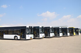 خرید ۸۱ دستگاه اتوبوس جدید توسط شهرداری کرج