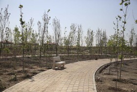 پارک ۱۰ هکتاری «شهید ایرانی» به زودی افتتاح می‌شود
