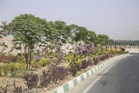 کاشت بیش از ۴۰ هزار اصله درخت در حاشیه اتوبان کرج