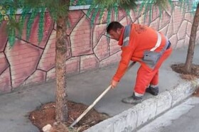 اجرای طرح پاکسازی «محله به محله» در منطقه هشت