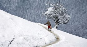 پیش‌بینی بارش برف و باران در ارتفاعات البرز