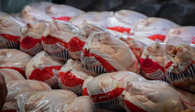 قیمت مرغ در میادین میوه و تره‌بار کرج تا پایان سال ثابت می‌ماند