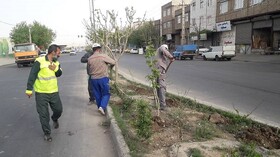اجرای رینگ فضای سبز در حاشیه جنوبی بلوار شهید ایرانی