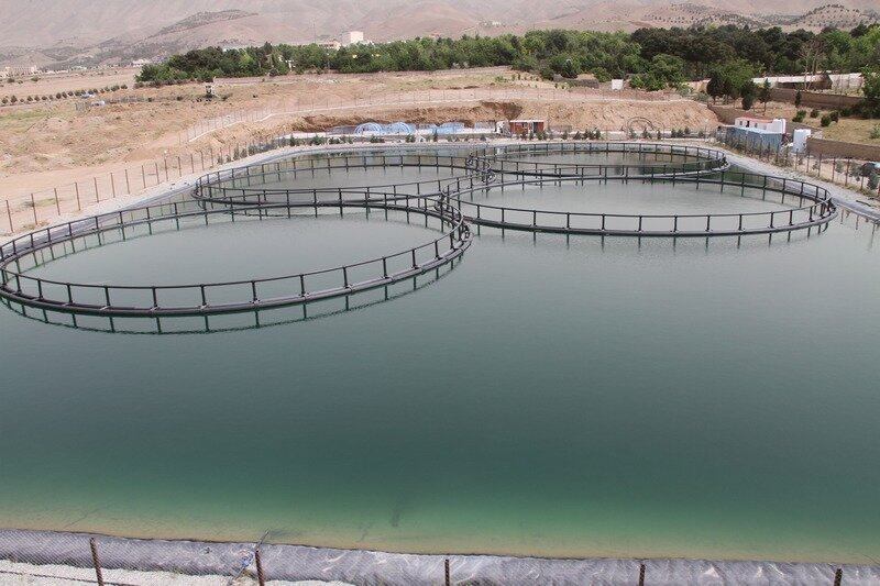 ۴۰ درصد فضای سبز آرامستان بهشت سکینه(س) تحت پوشش سیستم آبیاری قطره‌ای است