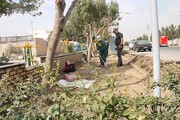 اجرای بهسازی پیاده راه خیابان بابایی شهرک مدرس