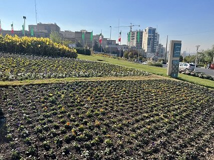 کاشت ۸ هزار متر مربع نشاء گل‌های فصلی و زینتی در منطقه هشت کرج
