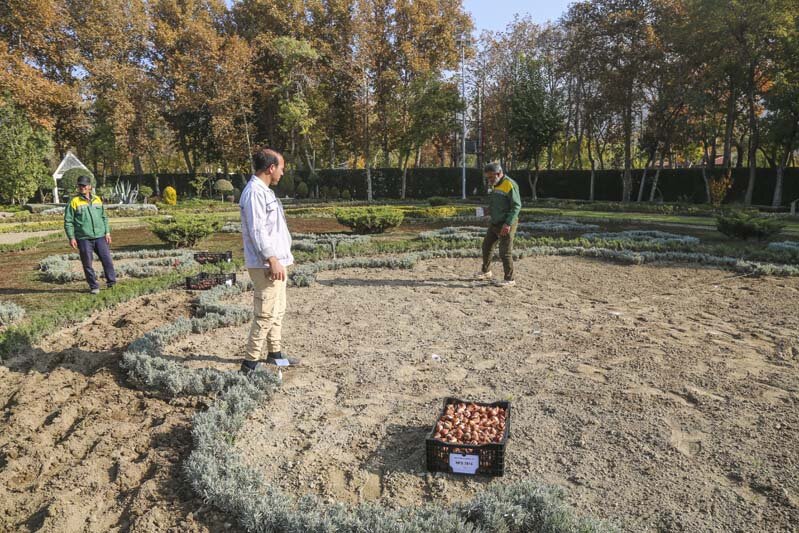باغ گل‌های پارک شهید چمران برای مهمانی لاله‌ها آماده می‌شود