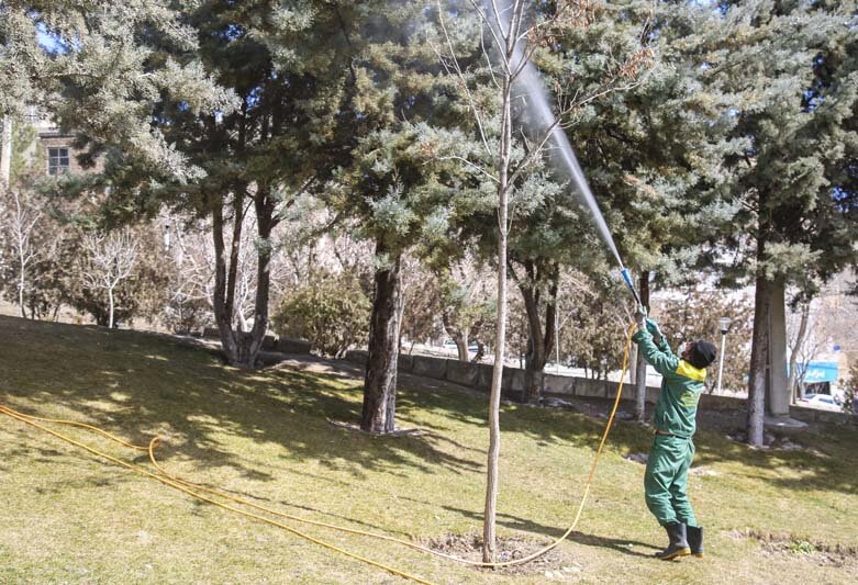 عملیات سم‌پاشی زمستانه درختان در کرج آغاز شد