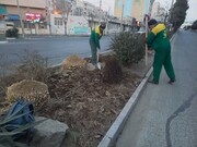 شهرداری منطقه ۷کرج به استقبال بهار می‌رود