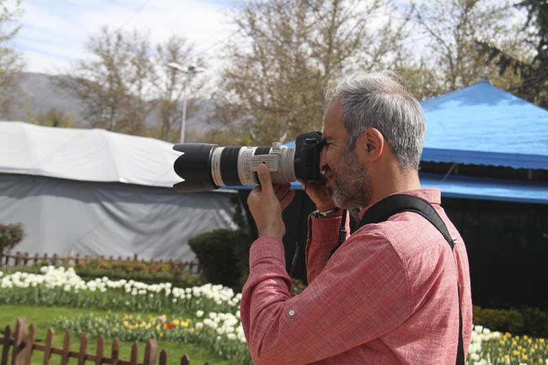 برگزاری مسابقه عکاسی لاله‌ها در کرج