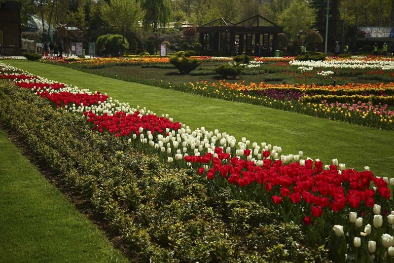 بزرگترین فرش گل کشور متشکل 53 هزار گل در نهمین جشنواره لاله‌های کرج 