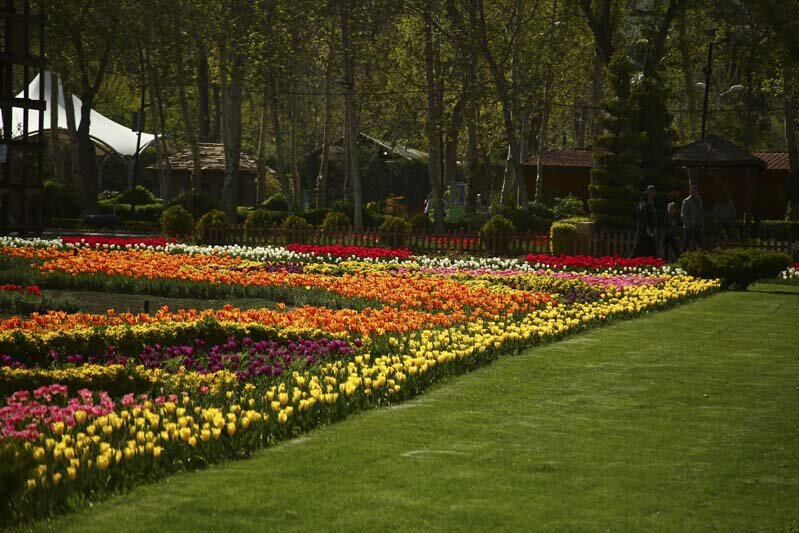 بزرگترین فرش گل کشور متشکل 53 هزار گل در نهمین جشنواره لاله‌های کرج 