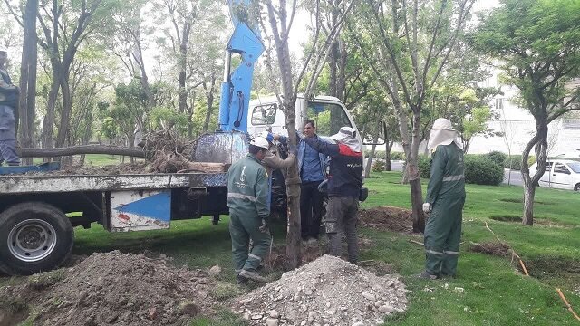 آغاز عملیات جابجایی خطوط انتقال آب و درختان در طرح تعریض بزرگراه کرج - قزوین