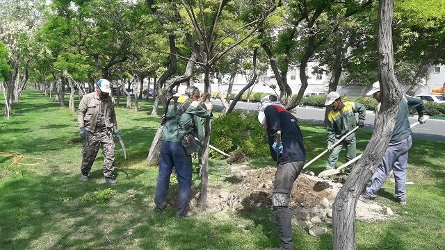 آغاز عملیات جابجایی خطوط انتقال آب و درختان در طرح تعریض بزرگراه کرج - قزوین
