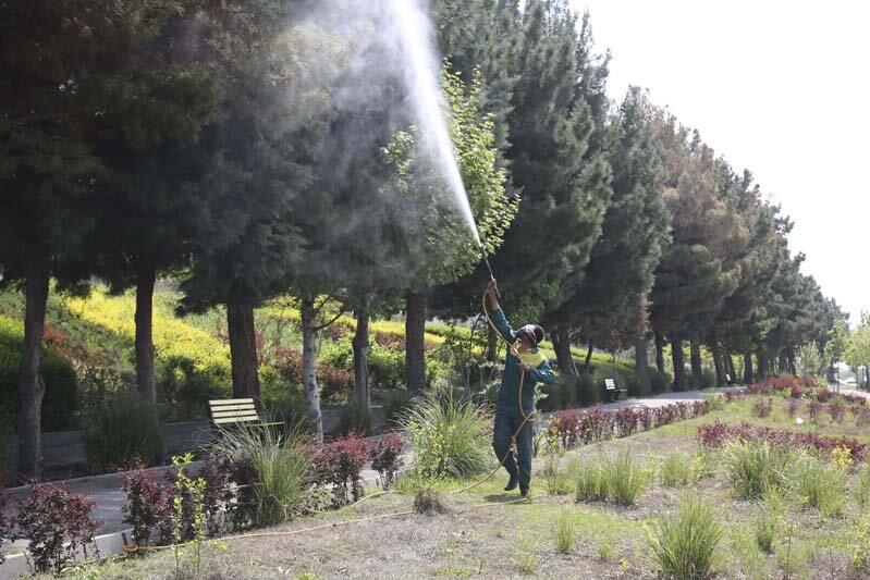 عملیات سمپاشی بهاره درختان شهر کرج در حال انجام است