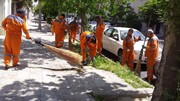 اجرای طرح پاکسازی محله به محله در معابر و خیابان‌های منطقه ۹ کرج