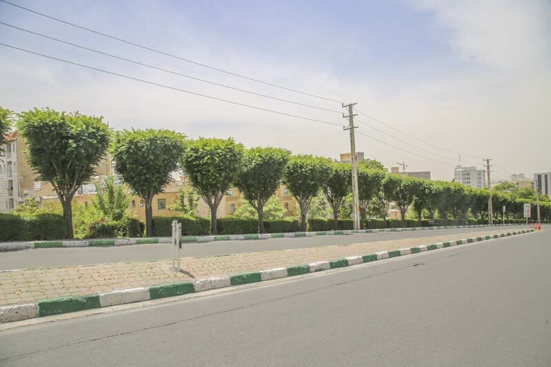 ارتقاء منظر شهری با یکپارچه‌سازی درختان