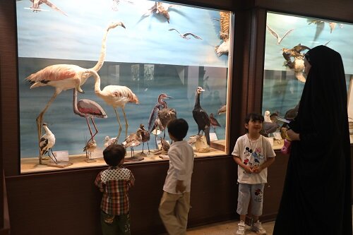 بازدید کودکان از موزه طبیعت